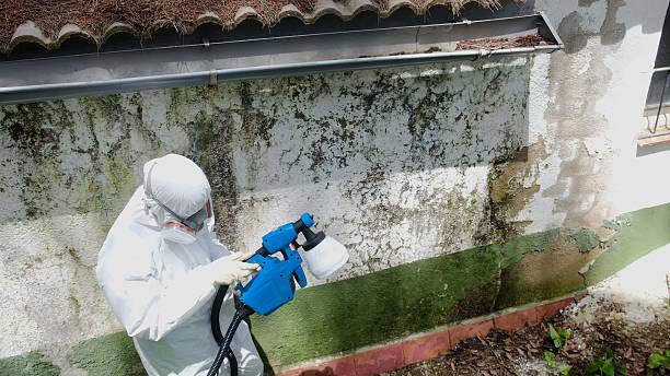 Top rated local Mold Cleanup specialists in Oxford, MD